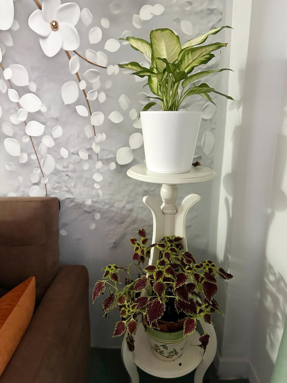 Appartement Pnoe D'Athenes Extérieur photo